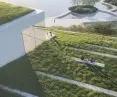 WCXA's proposal takes the form of piled, horizontal, vegetated platforms extending over the lake