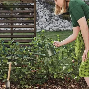 Don't forget to take care of wooden fences and pergolas