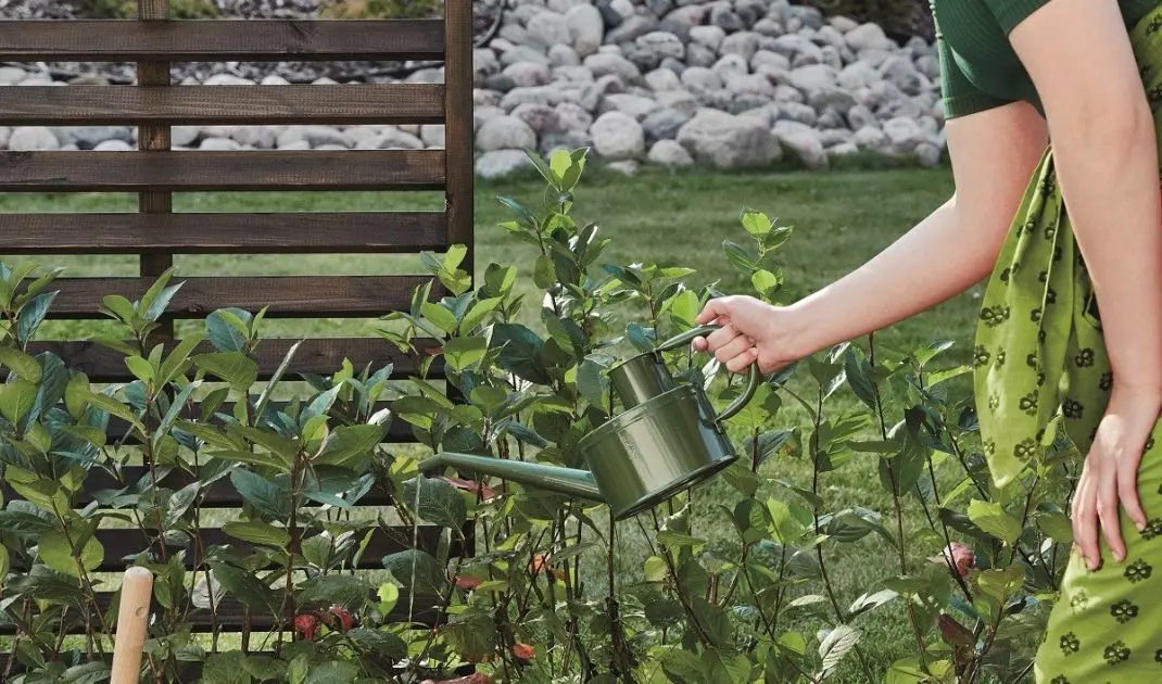 Don't forget to take care of wooden fences and pergolas