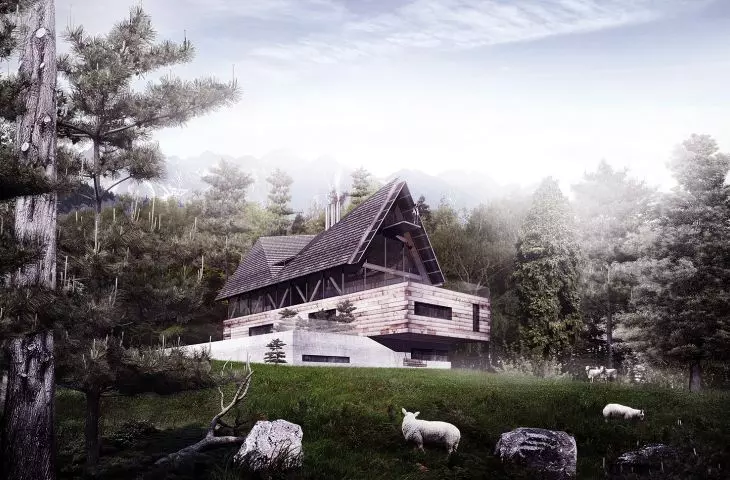 Polish House Project