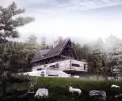 Polish House Project
