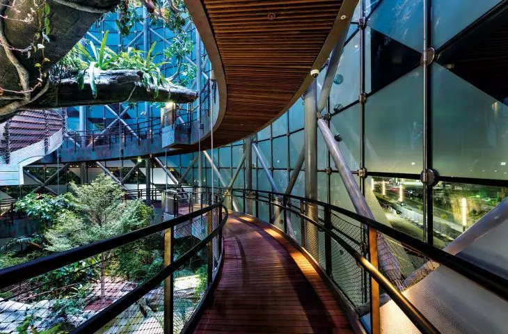 Baffle panels in wood effect at Green Planet in Dubai