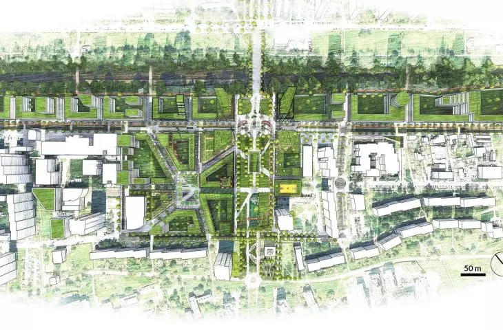 rzut