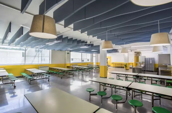 Ecophon Solo Baffle Wave, The British School of Barcelona