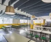Ecophon Solo Baffle Wave, The British School of Barcelona