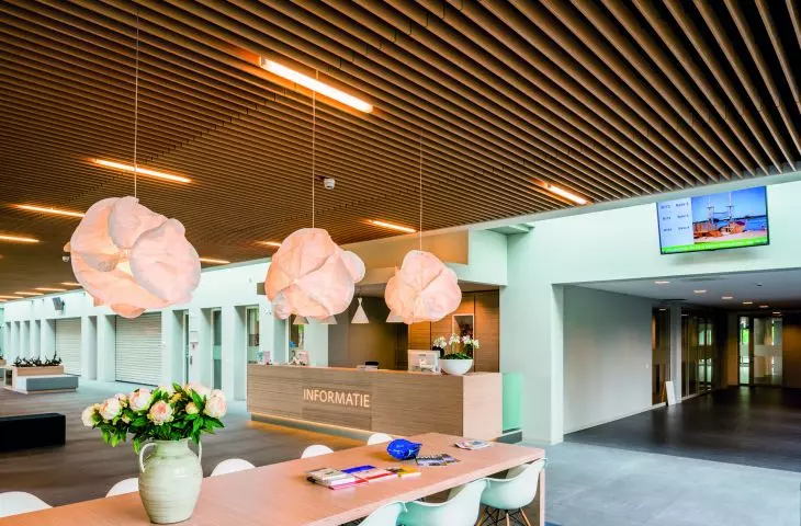 PareauLux Wood Veneered Cooling Ceiling (Weneered Wood Grid) 