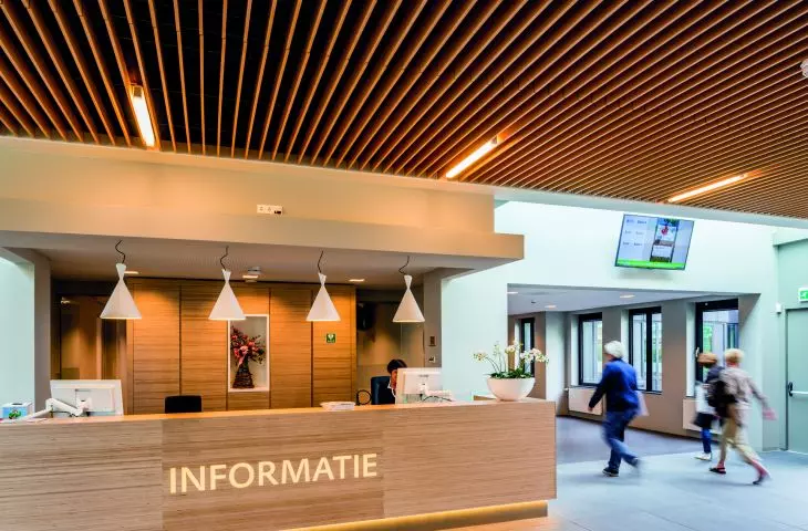 PareauLux Wood Veneered Cooling Ceiling (Weneered Wood Grid)  