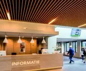PareauLux Wood Veneered Cooling Ceiling (Weneered Wood Grid)  