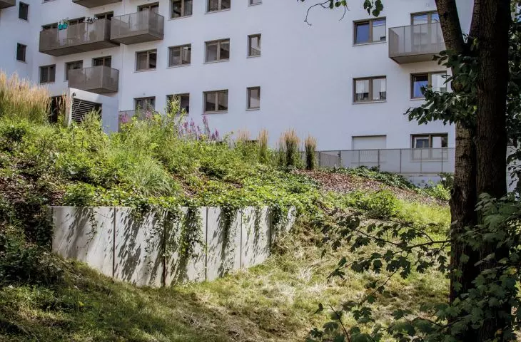 Preserved trees at the newly built Port Popowice housing estate in Wroclaw 