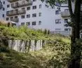 Preserved trees at the newly built Port Popowice housing estate in Wroclaw 