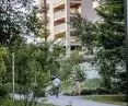 Preserved trees at the newly built Port Popowice housing estate in Wroclaw 
