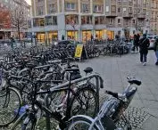 kultura rowerowa jest zaawansowana, można z ulicy wynająć rower cargo — mieszkańcy Berlina pedałują całorocznie, niezależnie od pogody