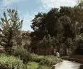 Walking path among the greenery with the possibility of resting on a bench