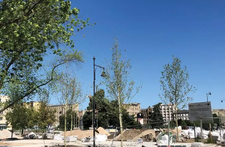  pavement rehabilitation is a danger of damaging existing greenery; it is necessary to control the protection of trees and audit new plantings, including in the following months and years