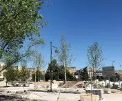  pavement rehabilitation is a danger of damaging existing greenery; it is necessary to control the protection of trees and audit new plantings, including in the following months and years