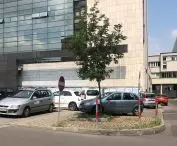 cienia wydają się szukać nawet samochody; tymczasem parkowanie pod drzewem przyczynia się do niszczenia korzeni poprzez ubijanie ziemi, a w efekcie ograniczenia dostępu tlenu i wody, co skutkuje uschnięciem drzewa