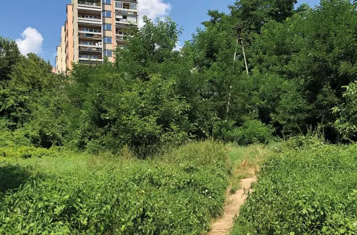 Greenery as infrastructure, a necessary addition to the concrete structure of the city