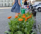 City on target - KRAKOW