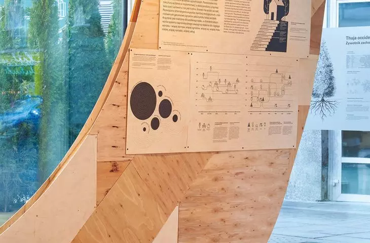  A fragment of the installation 