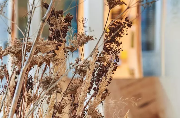  A fragment of the installation 