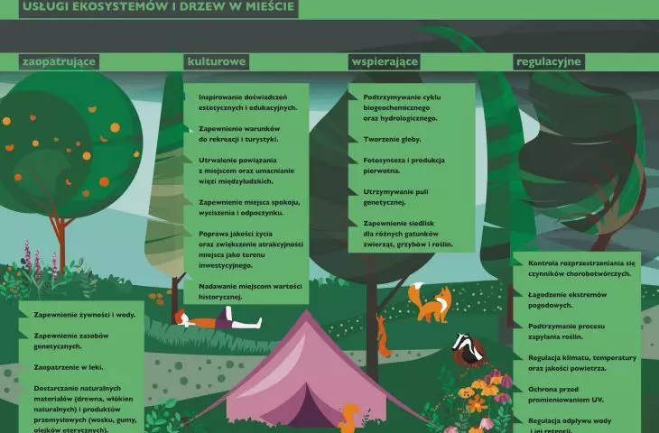Urban greenery management system for the City of Zduńska Wola