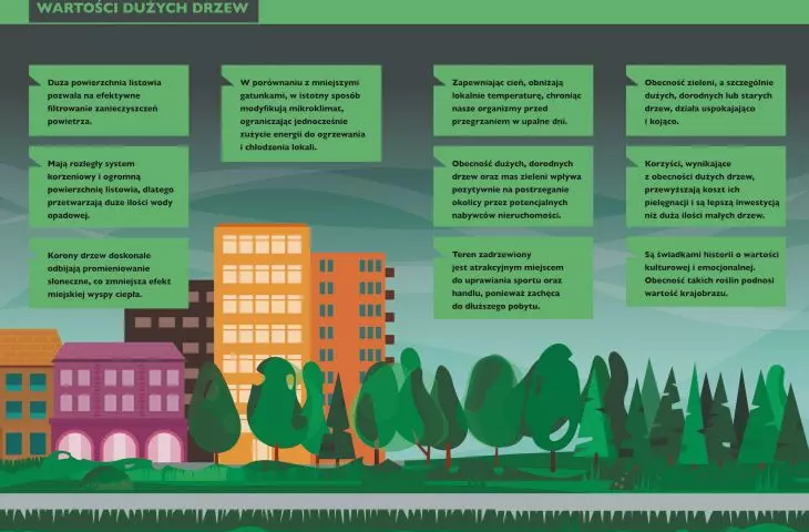 Urban greenery management system for the City of Zduńska Wola