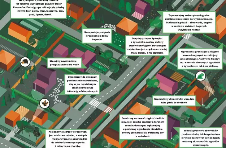 Urban greenery management system for the City of Zduńska Wola