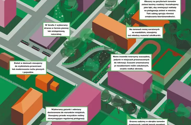 Urban greenery management system for the City of Zduńska Wola