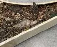 Glebarium