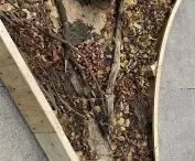 Glebarium