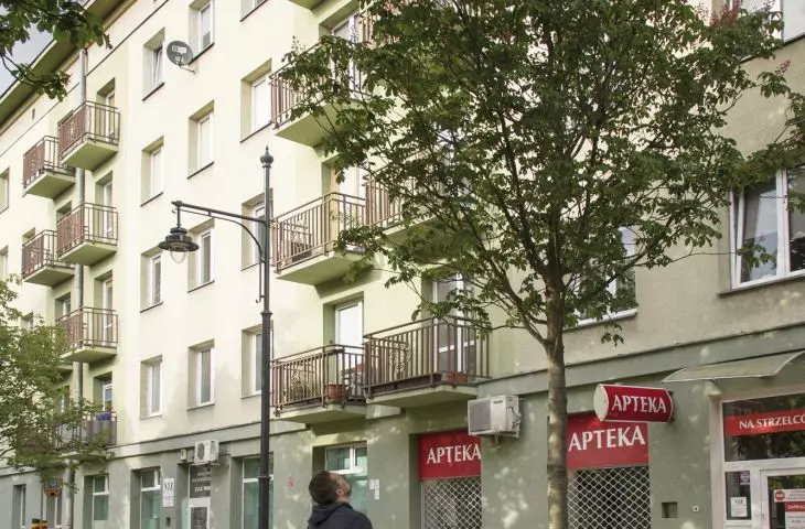  A several-meter-high tree planted in the same Lodz neighborhood; also impressive, but not so much anymore