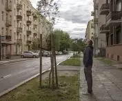  for comparison - a tiny tree planted in the same Lodz housing estate and at a similar time