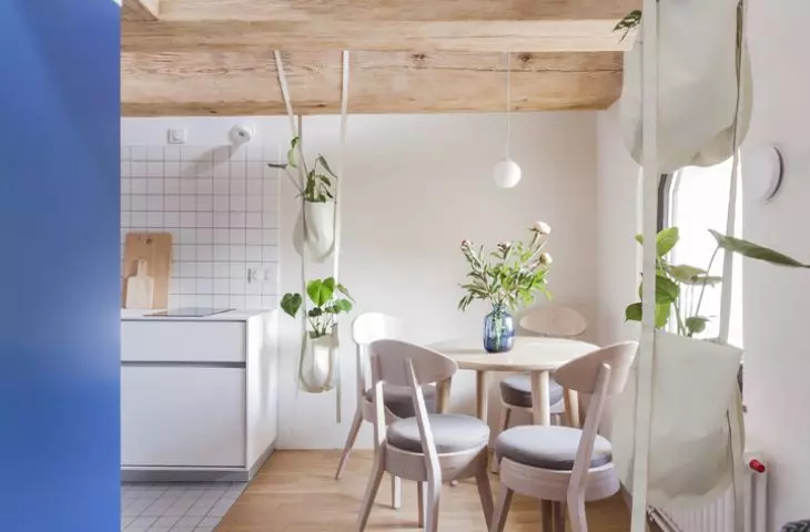 Apartamenty Monka w Toruniu
