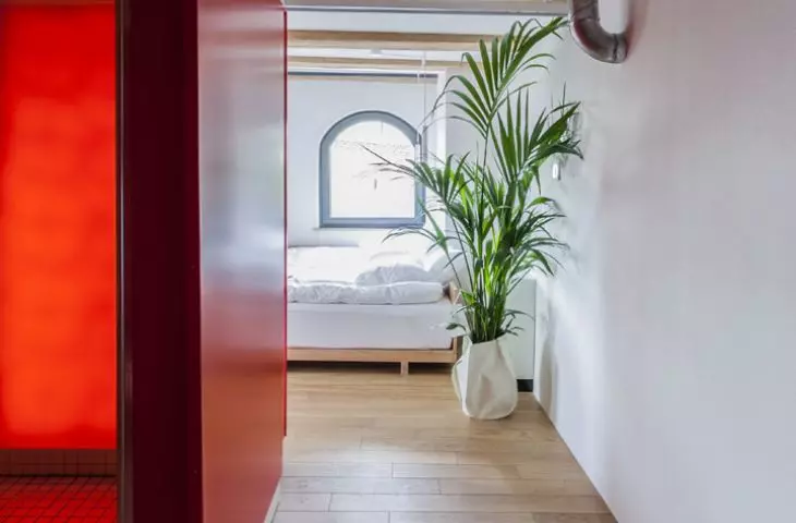 Monka Apartments in Torun