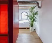 Monka Apartments in Torun