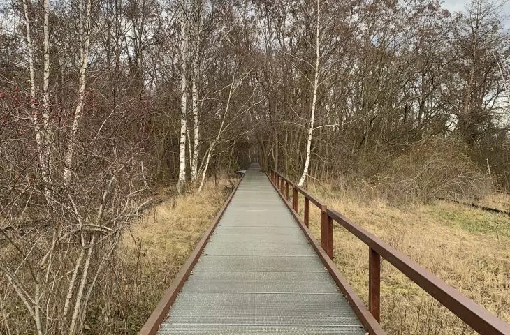 berliński Südgelände Natur-Park — przykład udostępnienia sukcesji na dawnym torowisku