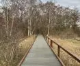 berliński Südgelände Natur-Park — przykład udostępnienia sukcesji na dawnym torowisku