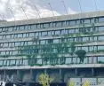 czwarta przyroda na opuszczonym Hotelu Forum w Krakowie; pionowy ogród z naturalnego rozwoju