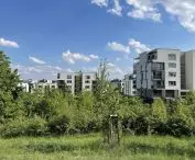 widok na osiedle Zelené Město w Pradze — metamorfoza ogródków działkowych w las — Sad Třešňovka