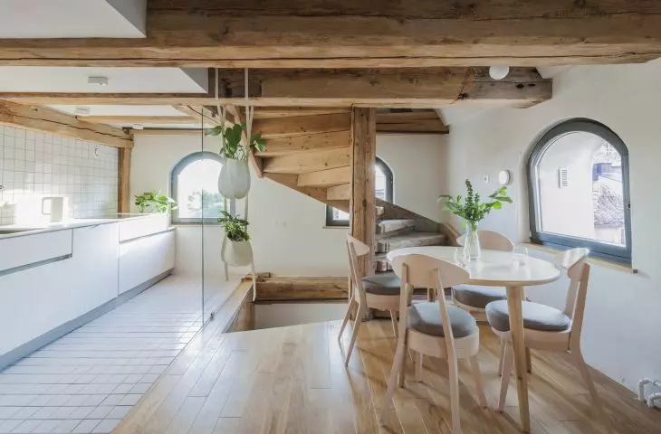 Apartamenty Monka w Toruniu