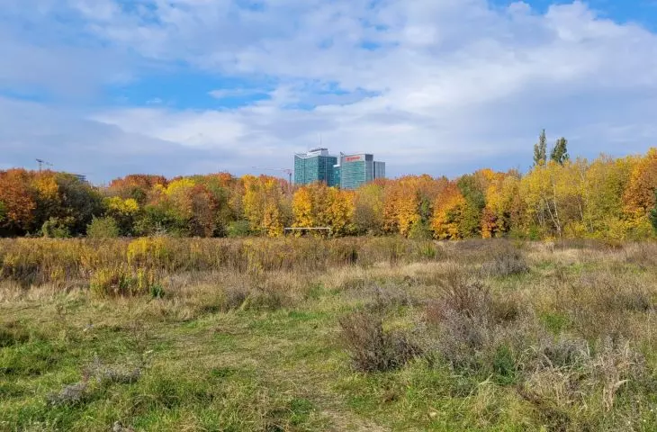 Former Szyc stadium in Poznań, autumn 2022