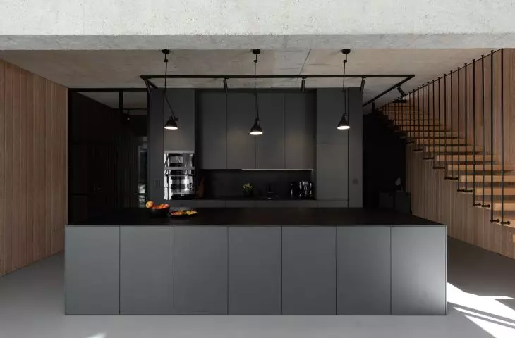 Kitchen in dark shades 