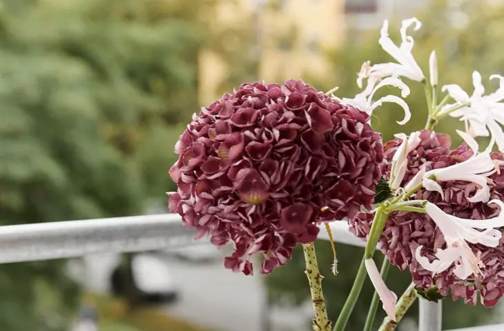 Flowers will add expression to the arrangement