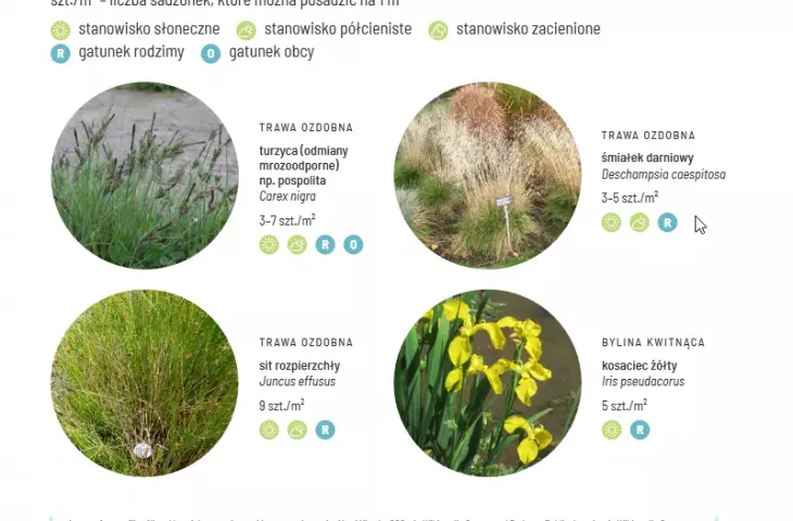 w broszurze znajdziemy wykaz roślin proponowanych