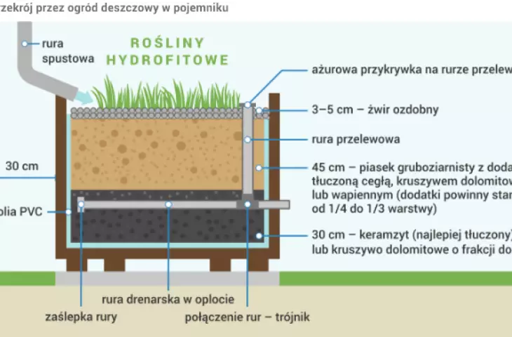 przekrój ogrodu deszczowego w pojemniku