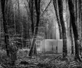 The house can be built in any location, such as a forest