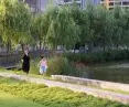 The park of more than 14 hectares was designed by the Sasaki studio; work was completed in April 2020