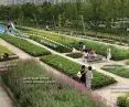 A street rain garden; the water needed to water the plants comes from rainwater collected under the surface of the park; it is worth mentioning that thanks to photovoltaic panels, the park is also fully self-sufficient in energy