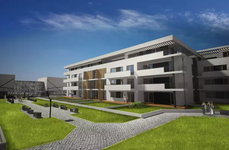 zdjecie