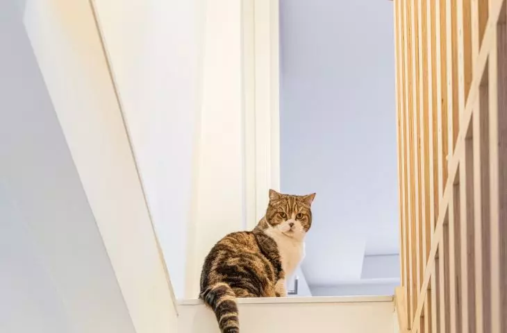 Stairs lead to the floor and terrace